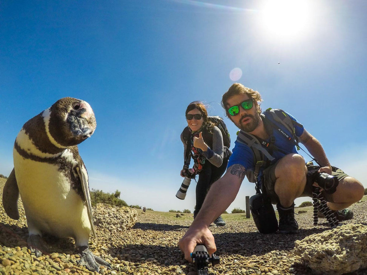Alesha and Jarryd taking a Selfie with a penguin