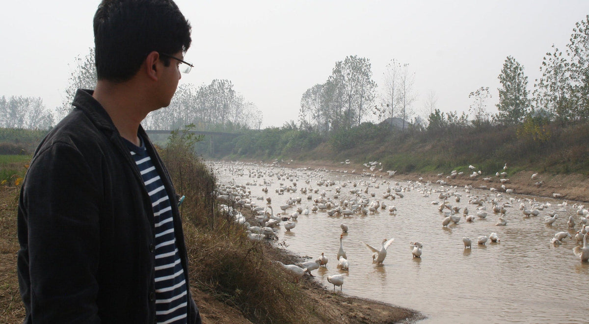 Kathmandu Textile R&D and Responsible Materials Manager Manu Rastogi travelled to Lu’an, China to investigate the supply chain of their down feathers.