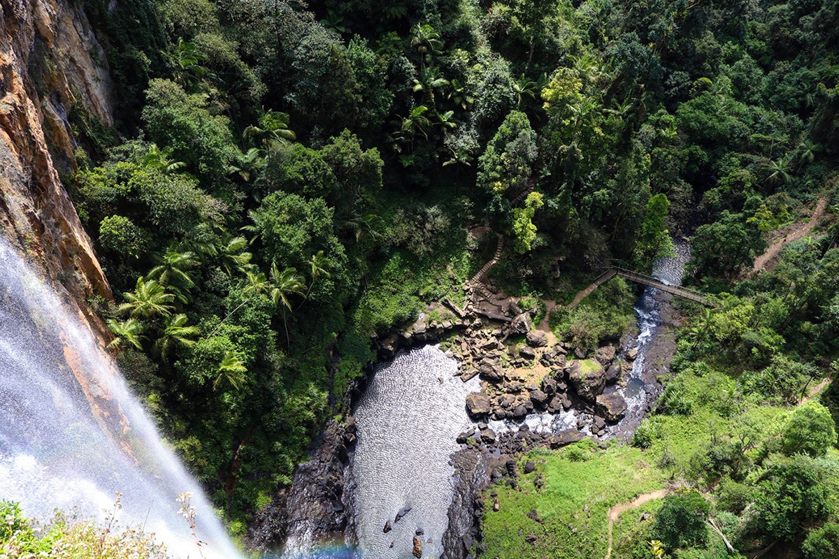 Image of a waterfall at Warrie Circuit Track in Springbrook National Park, Queensland.