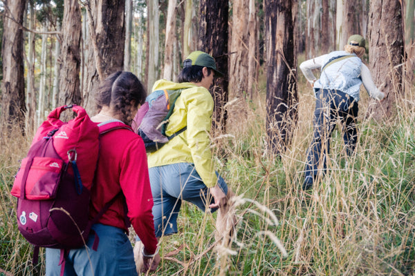 What to pack for day hike: The complete checklist