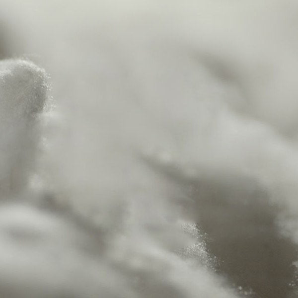 Responsible Wool Standards (RWS)